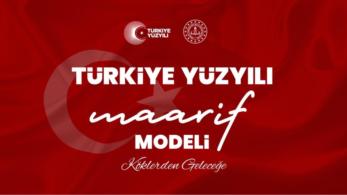 Türkiye Yıldızı Maarif Modeli